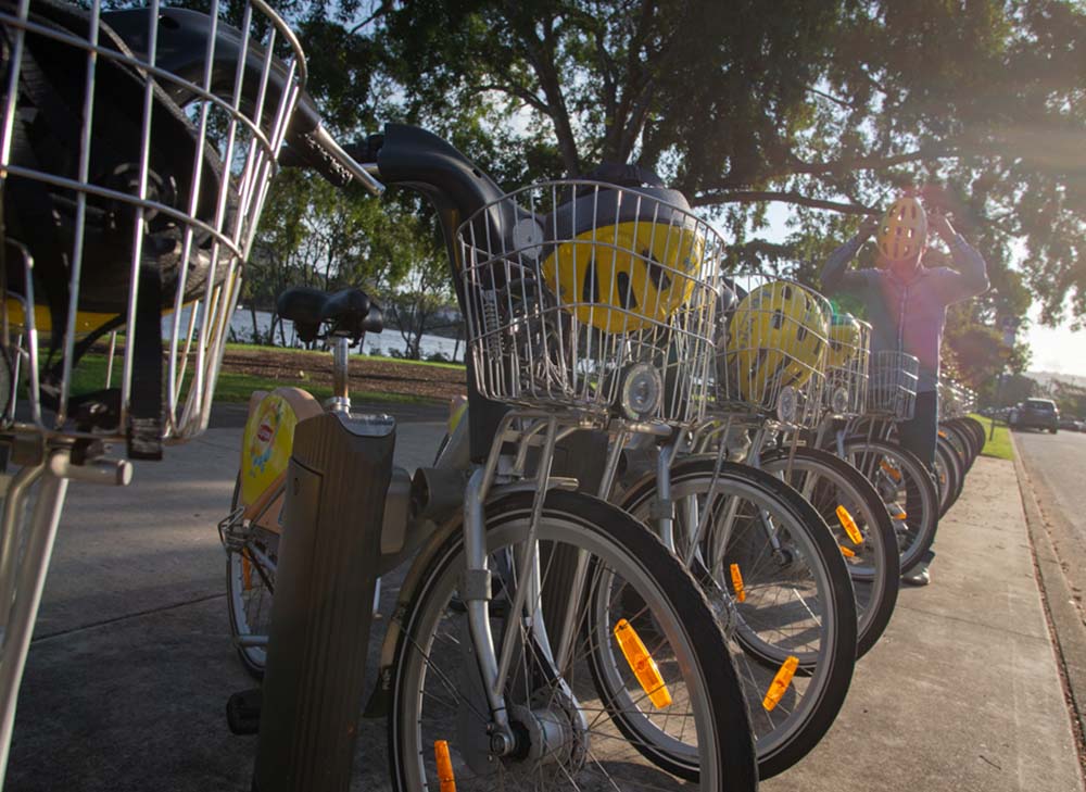 OPT-Q5_0010_Domus-Apartments-Orleigh-Park-BCC-Bikes